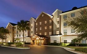 Staybridge Suites Tampa East- Brandon